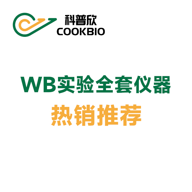 WB实验全套仪器 热销推荐！