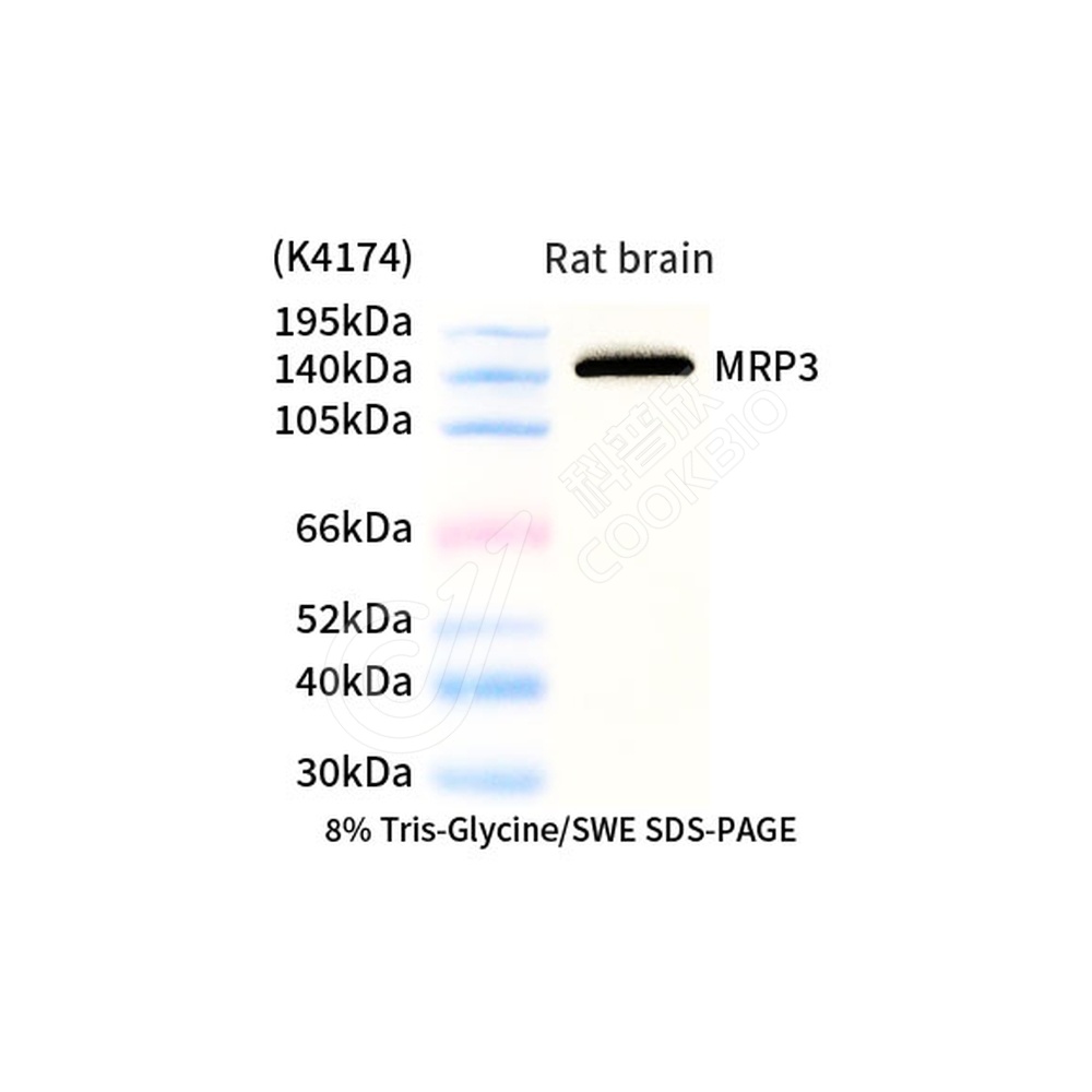 MRP3_d1000_WB