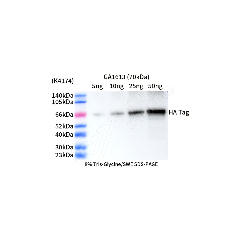 HA Tag_d1000_WB